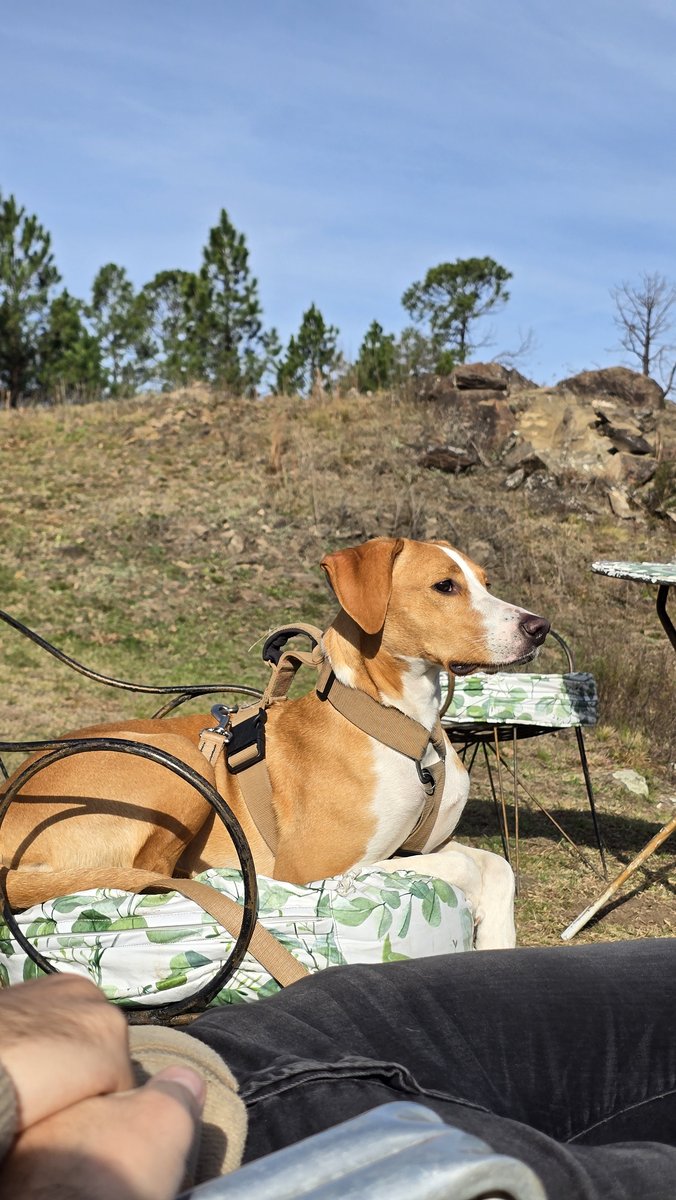 Foto de perfil de MOCCA