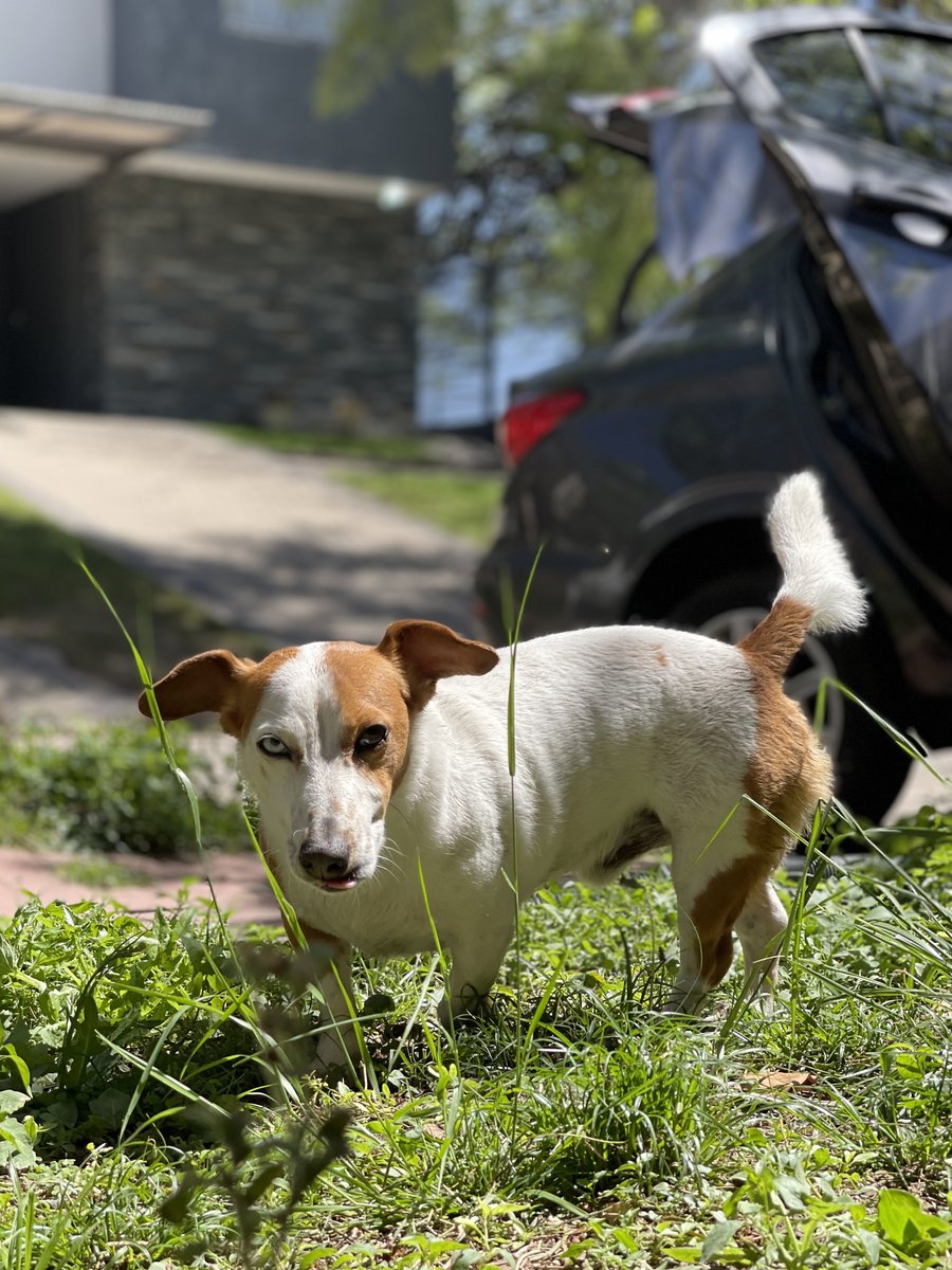 Foto de perfil de Titan
