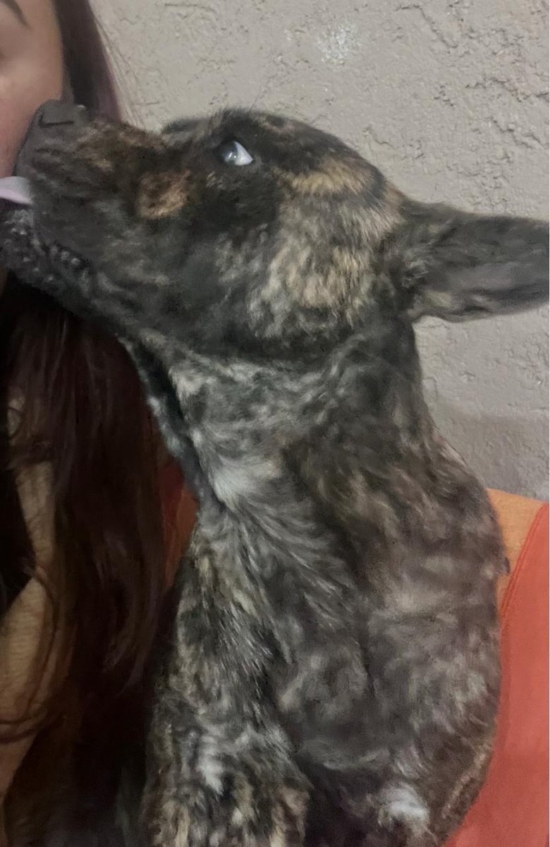 Foto de perfil de Ruffus