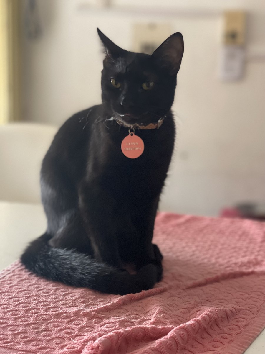 Foto de perfil de Luna