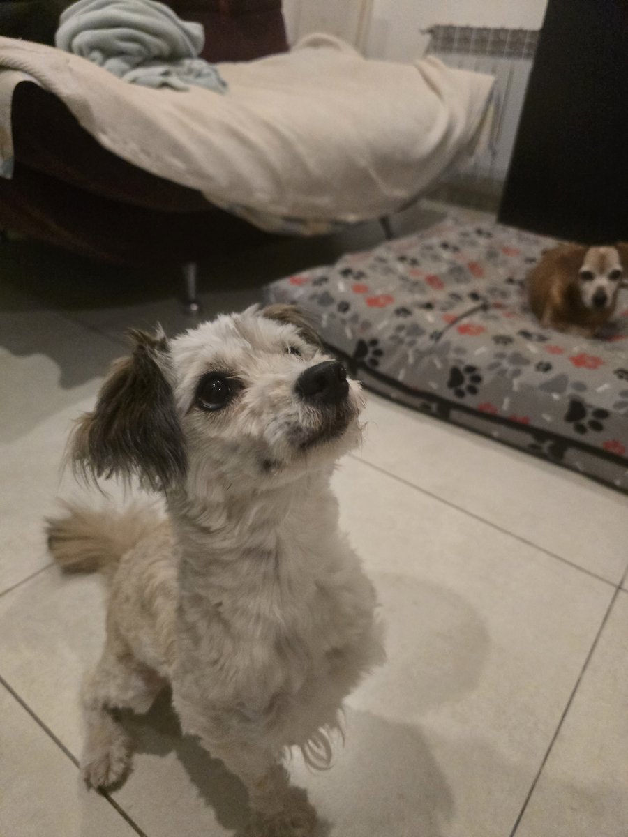 Foto de perfil de Arena