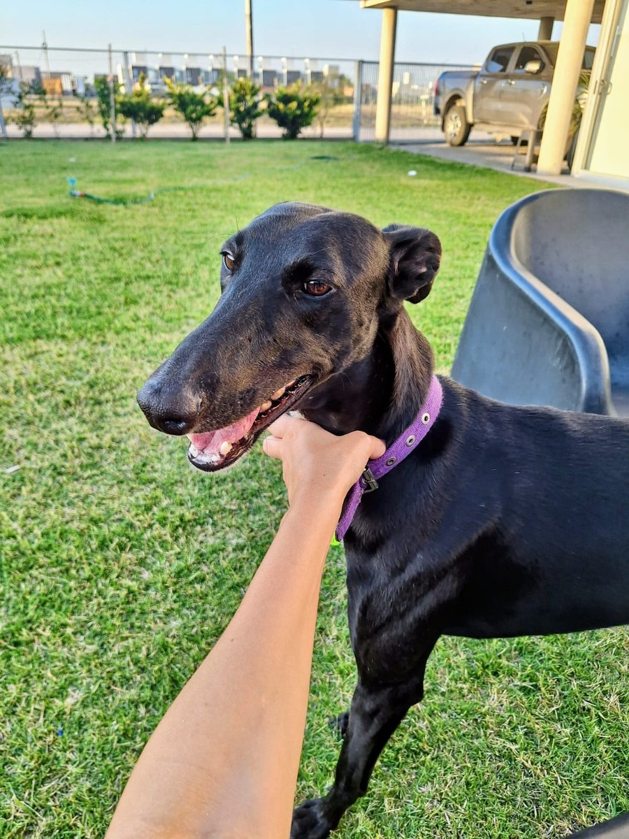 Foto de perfil de Oliver