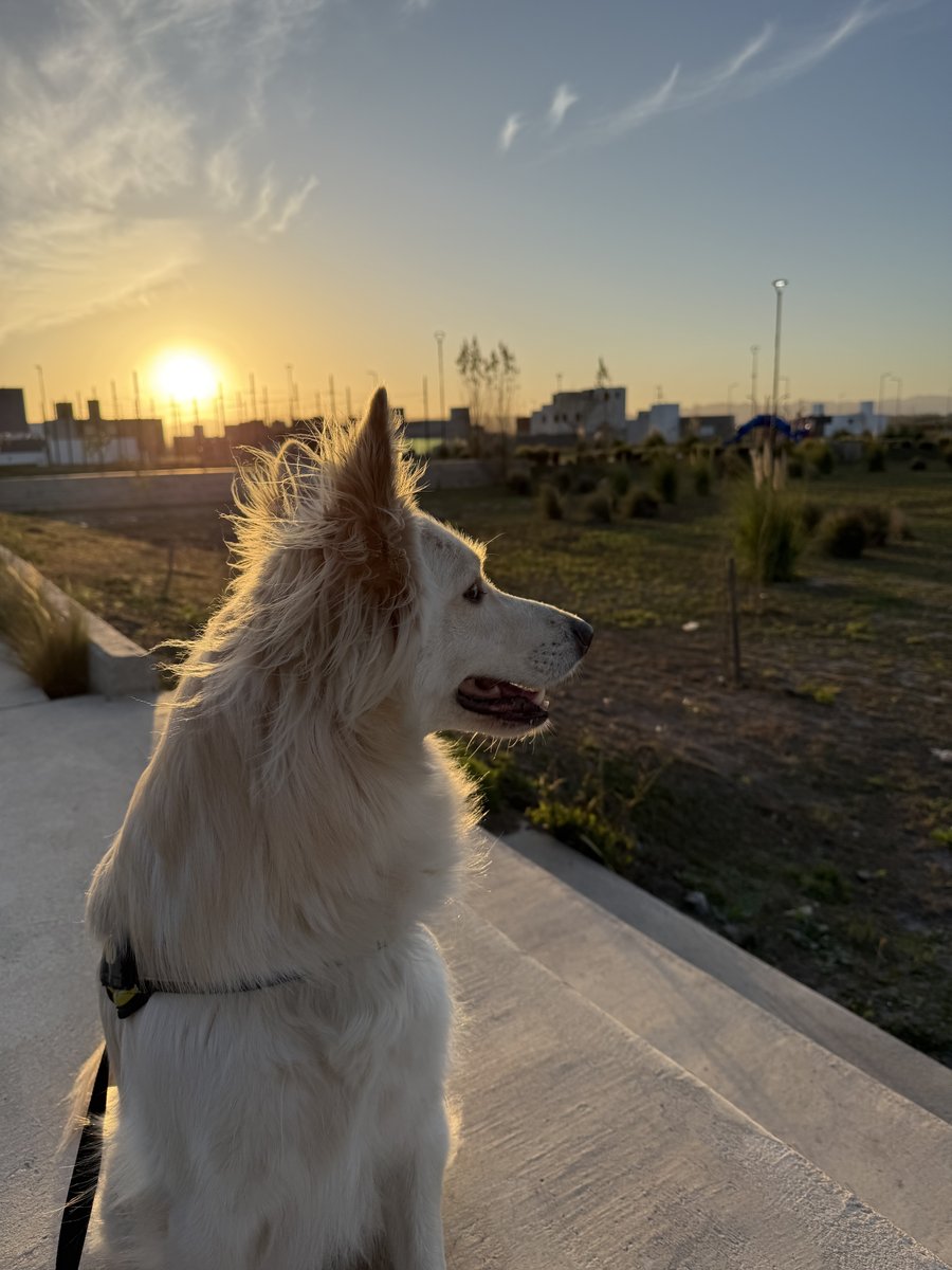 Foto de perfil de Otto Pucheta