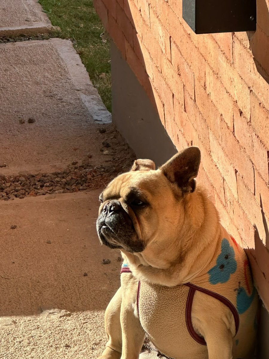 Foto de perfil de Frida