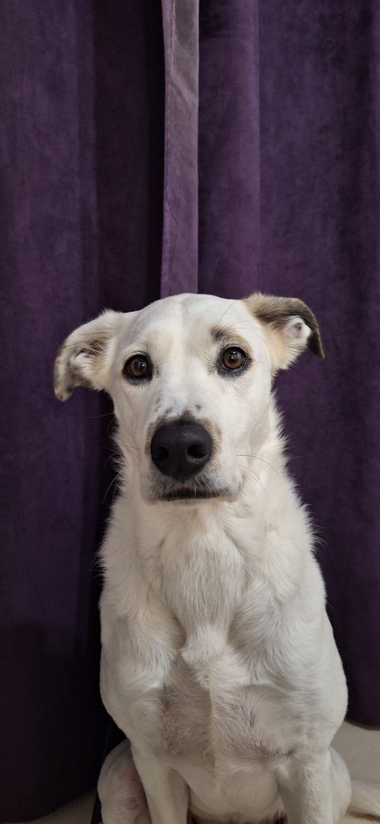 Foto de frente de Kira Guitart