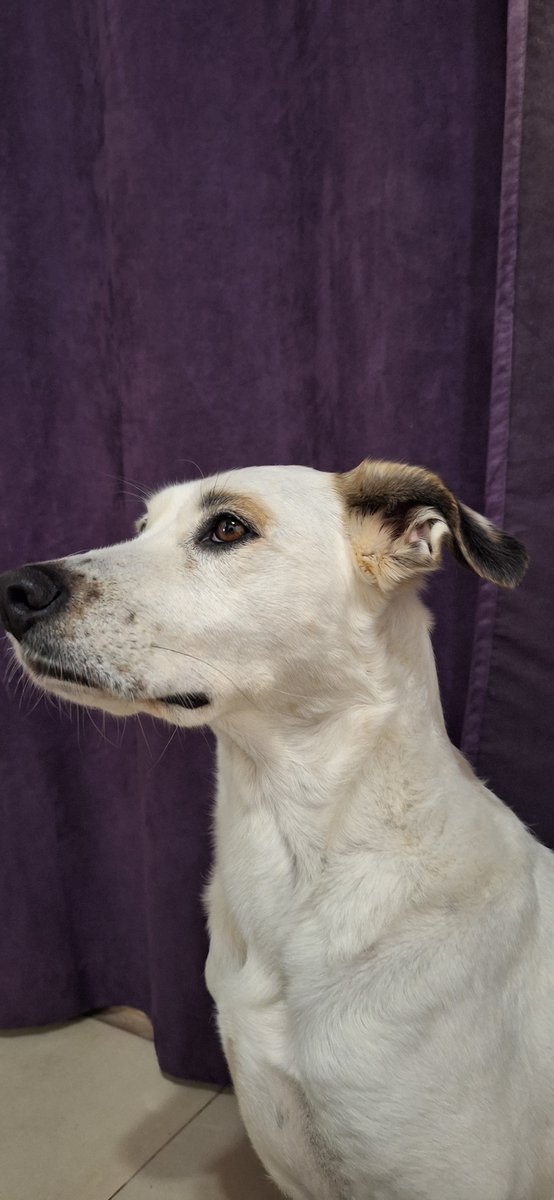 Foto de perfil de Kira Guitart